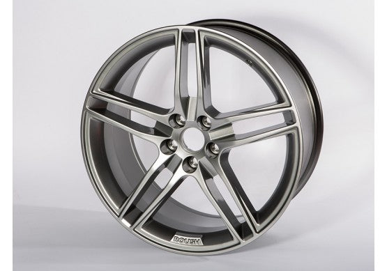 ROUSH 2015-2022 Mustang 20 x 9.5 Quicksilver Cast Aluminum Wheel